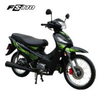 FRATELLI FS 110